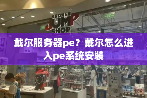 戴尔服务器pe？戴尔怎么进入pe系统安装