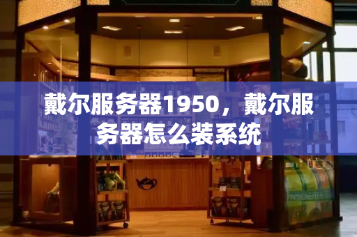戴尔服务器1950，戴尔服务器怎么装系统-第1张图片-星选测评