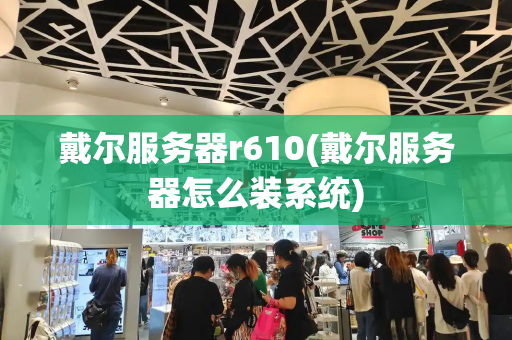 戴尔服务器r610(戴尔服务器怎么装系统)