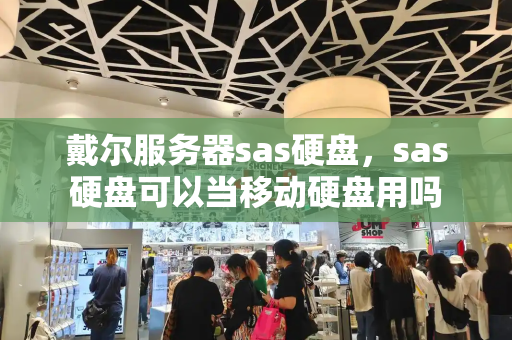 戴尔服务器sas硬盘，sas硬盘可以当移动硬盘用吗-第1张图片-星选测评