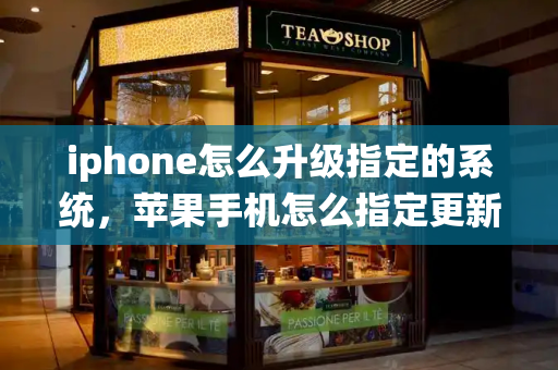 iphone怎么升级指定的系统，苹果手机怎么指定更新系统