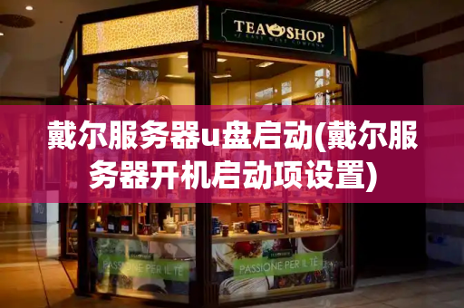 戴尔服务器u盘启动(戴尔服务器开机启动项设置)-第1张图片-星选测评