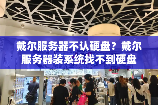 戴尔服务器不认硬盘？戴尔服务器装系统找不到硬盘-第1张图片-星选测评