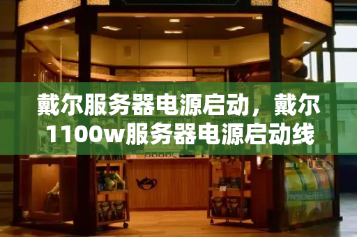 戴尔服务器电源启动，戴尔1100w服务器电源启动线