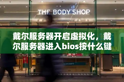 戴尔服务器开启虚拟化，戴尔服务器进入bios按什么键