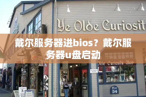 戴尔服务器进bios？戴尔服务器u盘启动