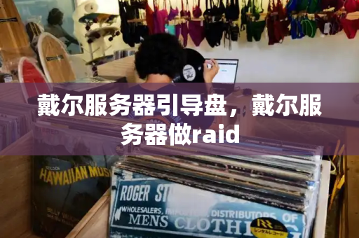 戴尔服务器引导盘，戴尔服务器做raid-第1张图片-星选测评