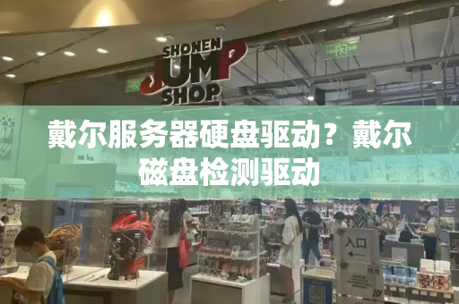 戴尔服务器硬盘驱动？戴尔磁盘检测驱动