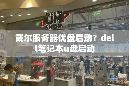 戴尔服务器优盘启动？dell笔记本u盘启动