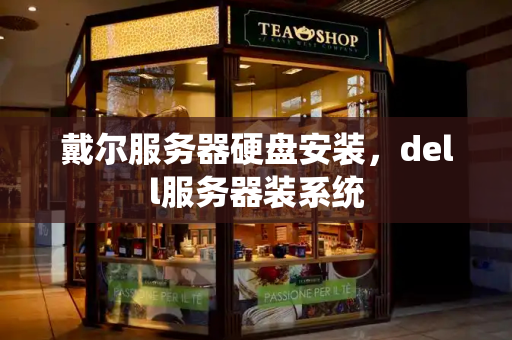 戴尔服务器硬盘安装，dell服务器装系统