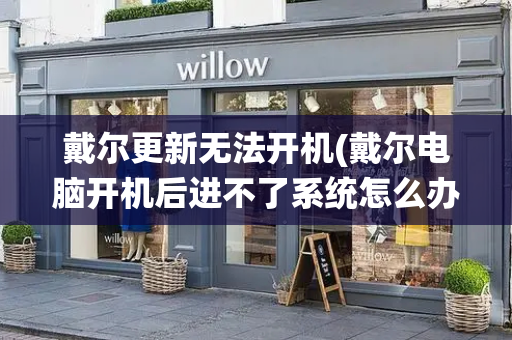 戴尔更新无法开机(戴尔电脑开机后进不了系统怎么办)-第1张图片-星选测评