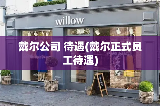 戴尔公司 待遇(戴尔正式员工待遇)-第1张图片-星选测评