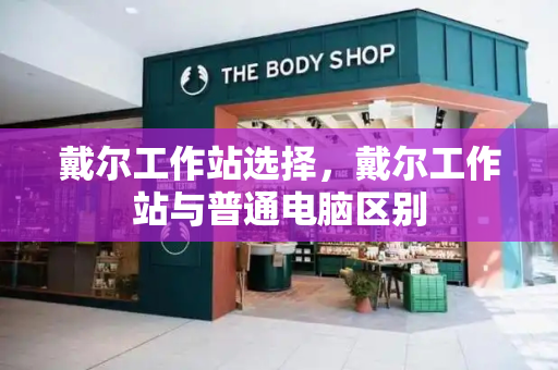 戴尔工作站选择，戴尔工作站与普通电脑区别-第1张图片-星选测评
