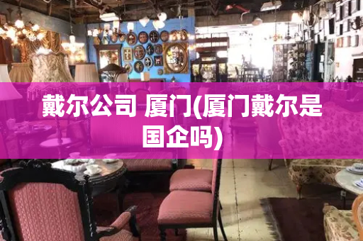 戴尔公司 厦门(厦门戴尔是国企吗)