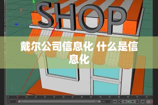 戴尔公司信息化 什么是信息化