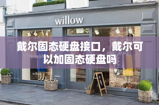 戴尔固态硬盘接口，戴尔可以加固态硬盘吗
