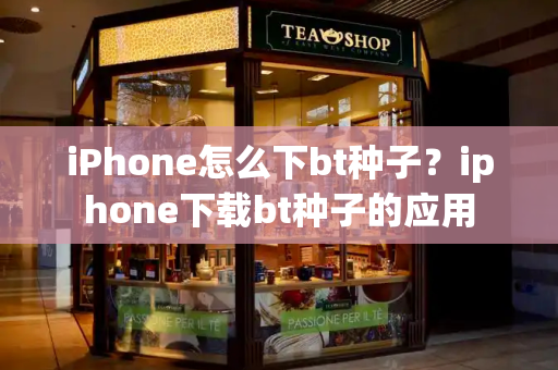 iPhone怎么下bt种子？iphone下载bt种子的应用-第1张图片-星选测评