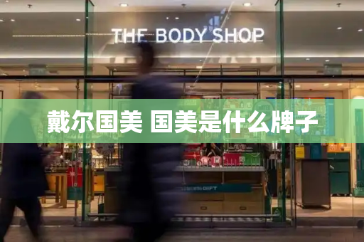 戴尔国美 国美是什么牌子-第1张图片-星选测评