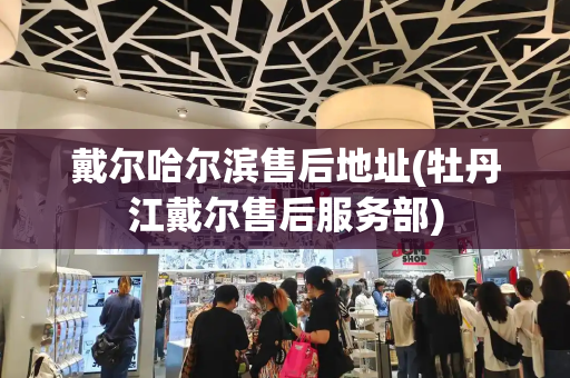 戴尔哈尔滨售后地址(牡丹江戴尔售后服务部)-第1张图片-星选测评