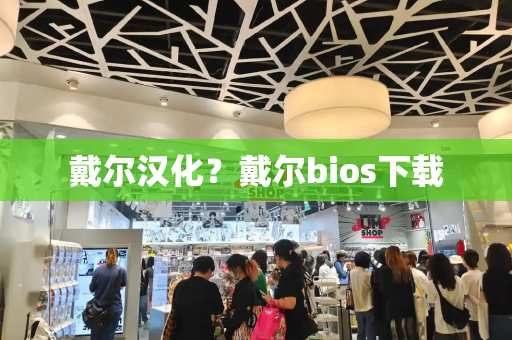 戴尔汉化？戴尔bios下载