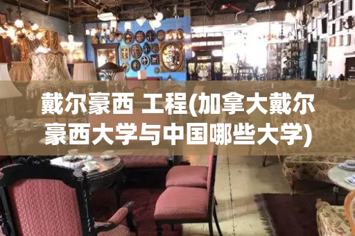 戴尔豪西 工程(加拿大戴尔豪西大学与中国哪些大学)