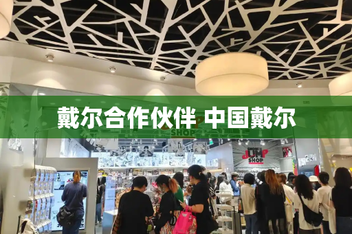 戴尔合作伙伴 中国戴尔