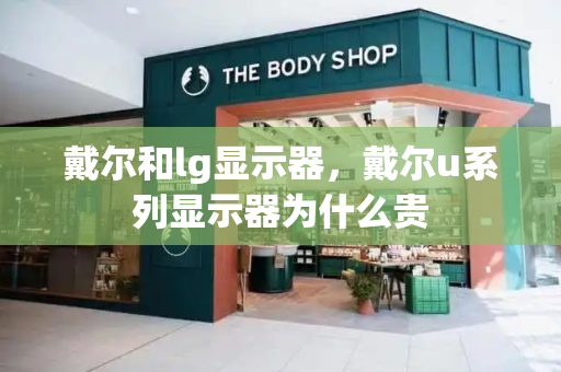 戴尔和lg显示器，戴尔u系列显示器为什么贵