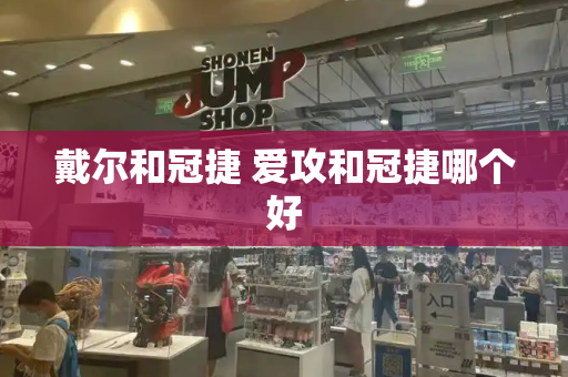 戴尔和冠捷 爱攻和冠捷哪个好