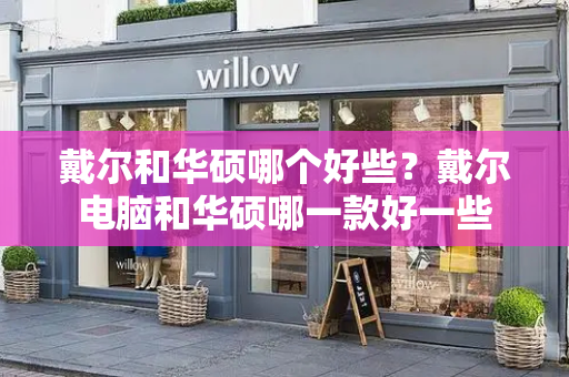 戴尔和华硕哪个好些？戴尔电脑和华硕哪一款好一些-第1张图片-星选测评
