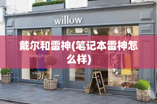 戴尔和雷神(笔记本雷神怎么样)