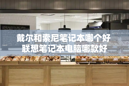 戴尔和索尼笔记本哪个好 联想笔记本电脑哪款好-第1张图片-星选测评