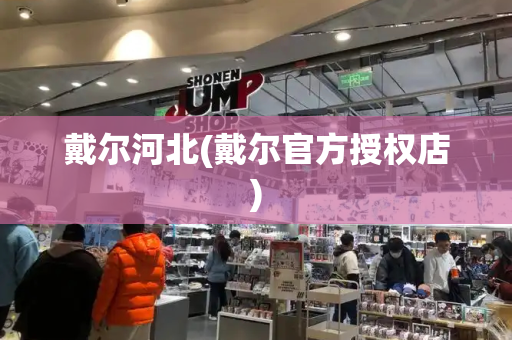 戴尔河北(戴尔官方授权店)