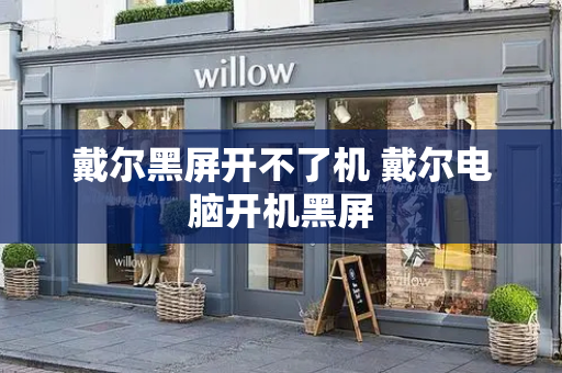 戴尔黑屏开不了机 戴尔电脑开机黑屏-第1张图片-星选测评