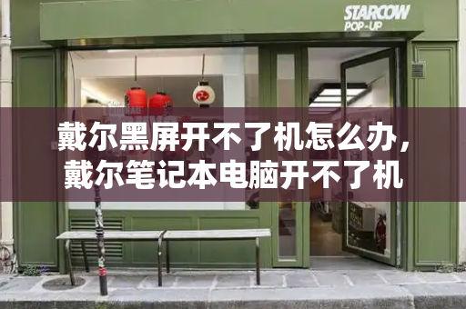 戴尔黑屏开不了机怎么办，戴尔笔记本电脑开不了机-第1张图片-星选测评