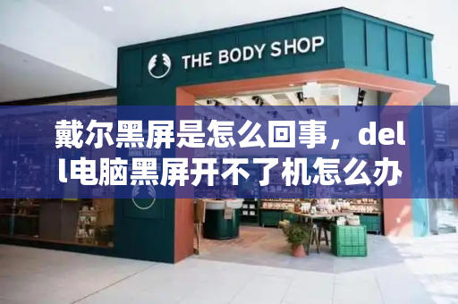 戴尔黑屏是怎么回事，dell电脑黑屏开不了机怎么办