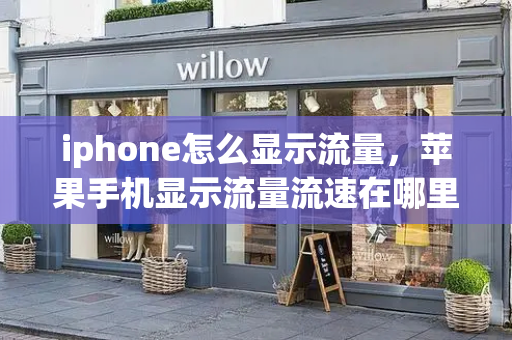 iphone怎么显示流量，苹果手机显示流量流速在哪里设置-第1张图片-星选测评