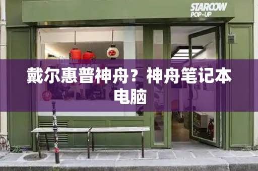戴尔惠普神舟？神舟笔记本电脑-第1张图片-星选测评