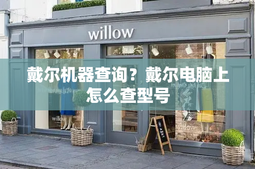 戴尔机器查询？戴尔电脑上怎么查型号