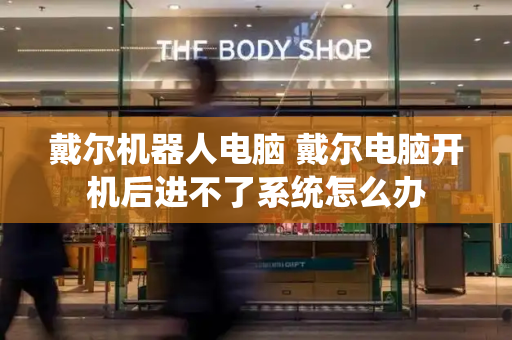 戴尔机器人电脑 戴尔电脑开机后进不了系统怎么办-第1张图片-星选测评