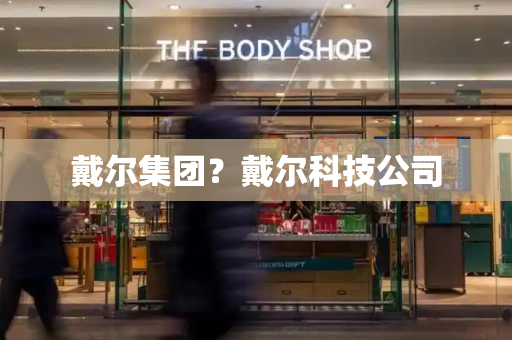 戴尔集团？戴尔科技公司-第1张图片-星选测评