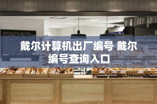 戴尔计算机出厂编号 戴尔编号查询入口