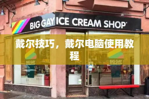 戴尔技巧，戴尔电脑使用教程-第1张图片-星选测评