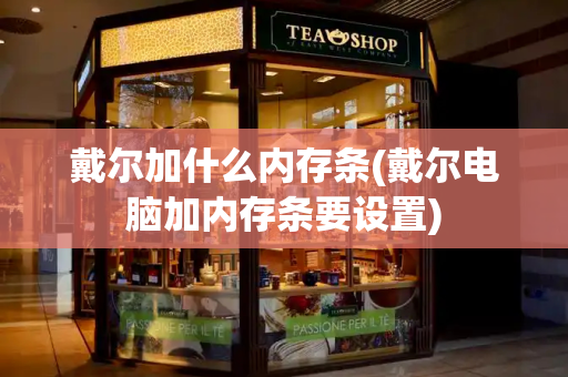 戴尔加什么内存条(戴尔电脑加内存条要设置)