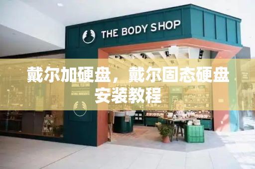 戴尔加硬盘，戴尔固态硬盘安装教程-第1张图片-星选测评