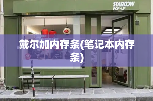 戴尔加内存条(笔记本内存条)