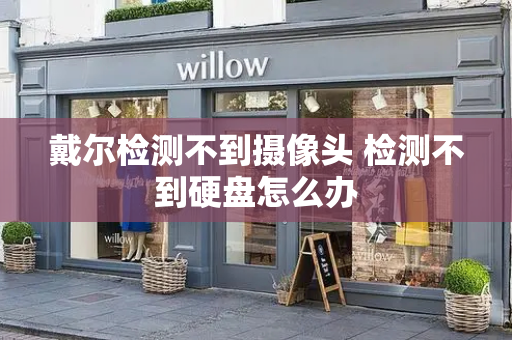 戴尔检测不到摄像头 检测不到硬盘怎么办