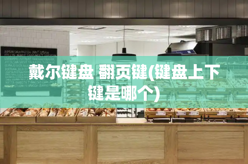 戴尔键盘 翻页键(键盘上下键是哪个)-第1张图片-星选测评