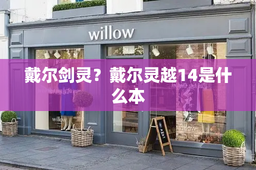 戴尔剑灵？戴尔灵越14是什么本-第1张图片-星选测评