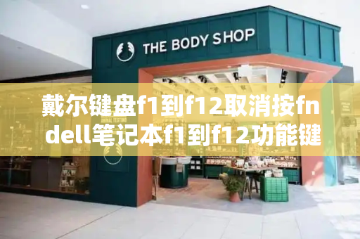 戴尔键盘f1到f12取消按fn dell笔记本f1到f12功能键怎么开启-第1张图片-星选测评