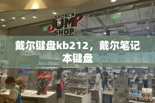 戴尔键盘kb212，戴尔笔记本键盘-第1张图片-星选测评